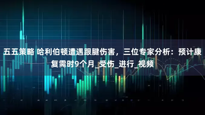 五五策略 哈利伯顿遭遇跟腱伤害，三位专家分析：预计康复需时9个月_受伤_进行_视频