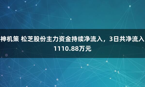 神机策 松芝股份主力资金持续净流入，3日共净流入1110.88万元