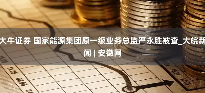 大牛证券 国家能源集团原一级业务总监严永胜被查_大皖新闻 | 安徽网