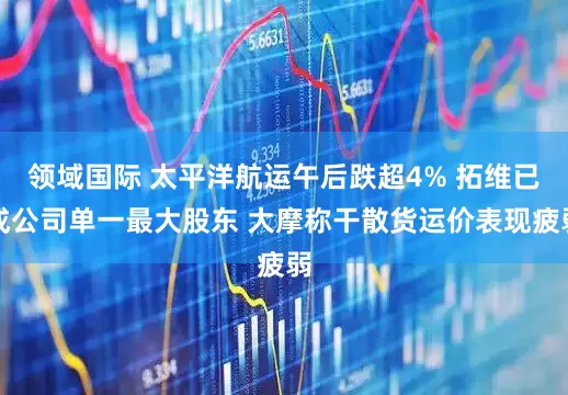 领域国际 太平洋航运午后跌超4% 拓维已成公司单一最大股东 大摩称干散货运价表现疲弱