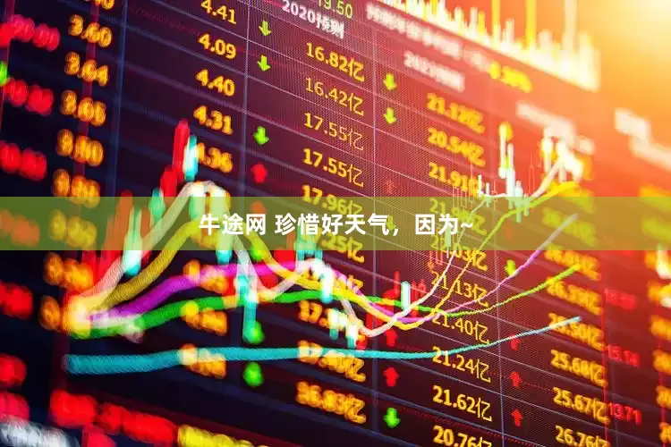 牛途网 珍惜好天气，因为~